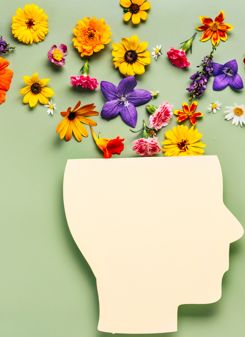 8 Reasons Why Nature is Key to Mental Well-Being